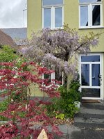 IMG_4853.jpeg
