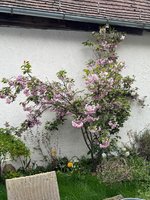 IMG_4855.jpeg