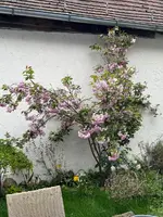 IMG_4855.jpeg