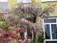 IMG_4854.jpeg
