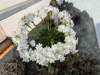 IMG_4844.jpeg