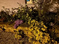 IMG_4841.jpeg