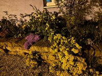 IMG_4841.jpeg