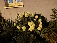 IMG_4840.jpeg