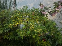 IMG_4829.jpeg