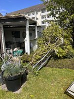 IMG_3813.jpeg