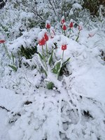 IMG_20240421_081522.jpg
