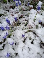 IMG_20240421_081635.jpg