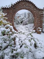 IMG_20240421_081716_1.jpg