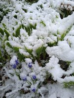 IMG_20240421_081748_1.jpg
