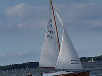 IMG_20230902_174632.jpg