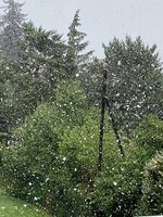 IMG_4090.jpeg