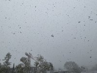IMG_1461.jpeg
