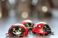 image004__50%.jpg image004__50%.jpg