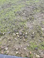 20240420_124912.webp
