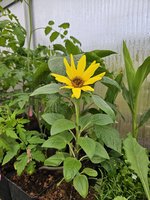 20240421_190542.jpg