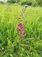 IMG_20240420_161638.webp