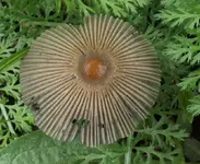 2024Pilz1.jpg