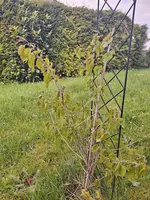 20240422_105157.webp