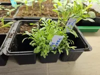 20240422_130947.jpg 20240422_130947.jpg