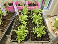 20240422_130951.webp 20240422_130951.webp