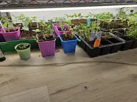 20240422_175341.webp