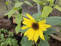 20240421_190611.webp