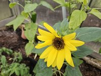 20240421_190611.jpg