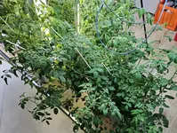20240422_180844.webp