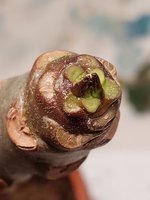 20240422_193259.JPG