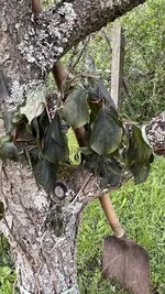 IMG_9821.jpeg