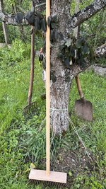 IMG_9819.jpeg