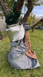 IMG_9828.jpeg