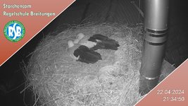 IMG_1467.jpeg