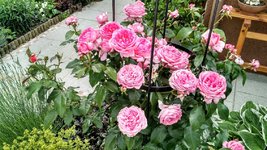 IMG_20180605_170255477_HDR.jpg