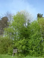 P1040005.JPG