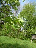 P1040007.JPG