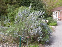 P1040047.JPG