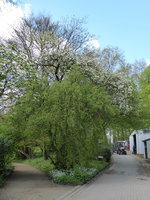 P1040050.JPG