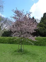 P1040118.webp