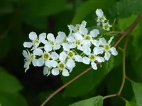 P1040138.webp