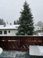 IMG_5062.jpeg