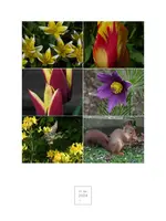IMG_20240423_134251.webp