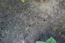 Rabatte O Löcher 20240421.webp