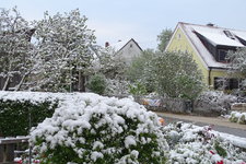 DSC05674.JPG