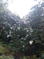 IMG_20240423_112750.jpg