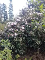 IMG_20240423_113738.webp
