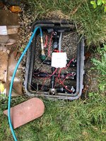IMG_3784.jpeg