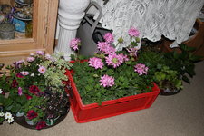 Einkäufe 0224.JPG