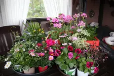 Einkäufe 0724.webp